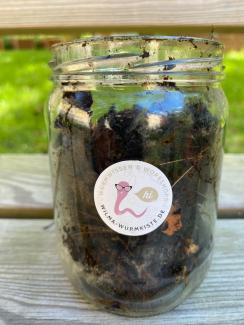 Glas mit Erde und Würmern