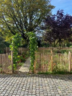 Gartenzaun mit offenem Törchen, dahinter Bäume