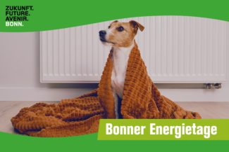 ein Hund sitzt vor einer Heizung