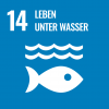 SDG 14: Leben unter dem Wasser